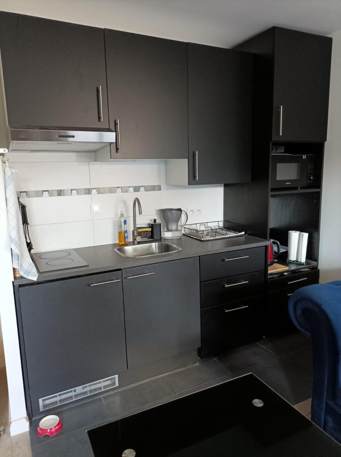 Appartment Porte De Versailles Paris Expo Issy-les-Moulineaux Exteriör bild